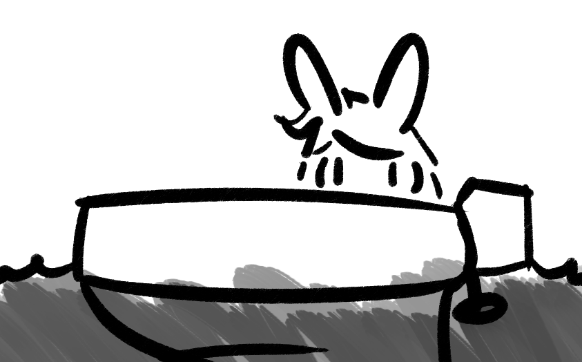 image of a rabbit in a boat